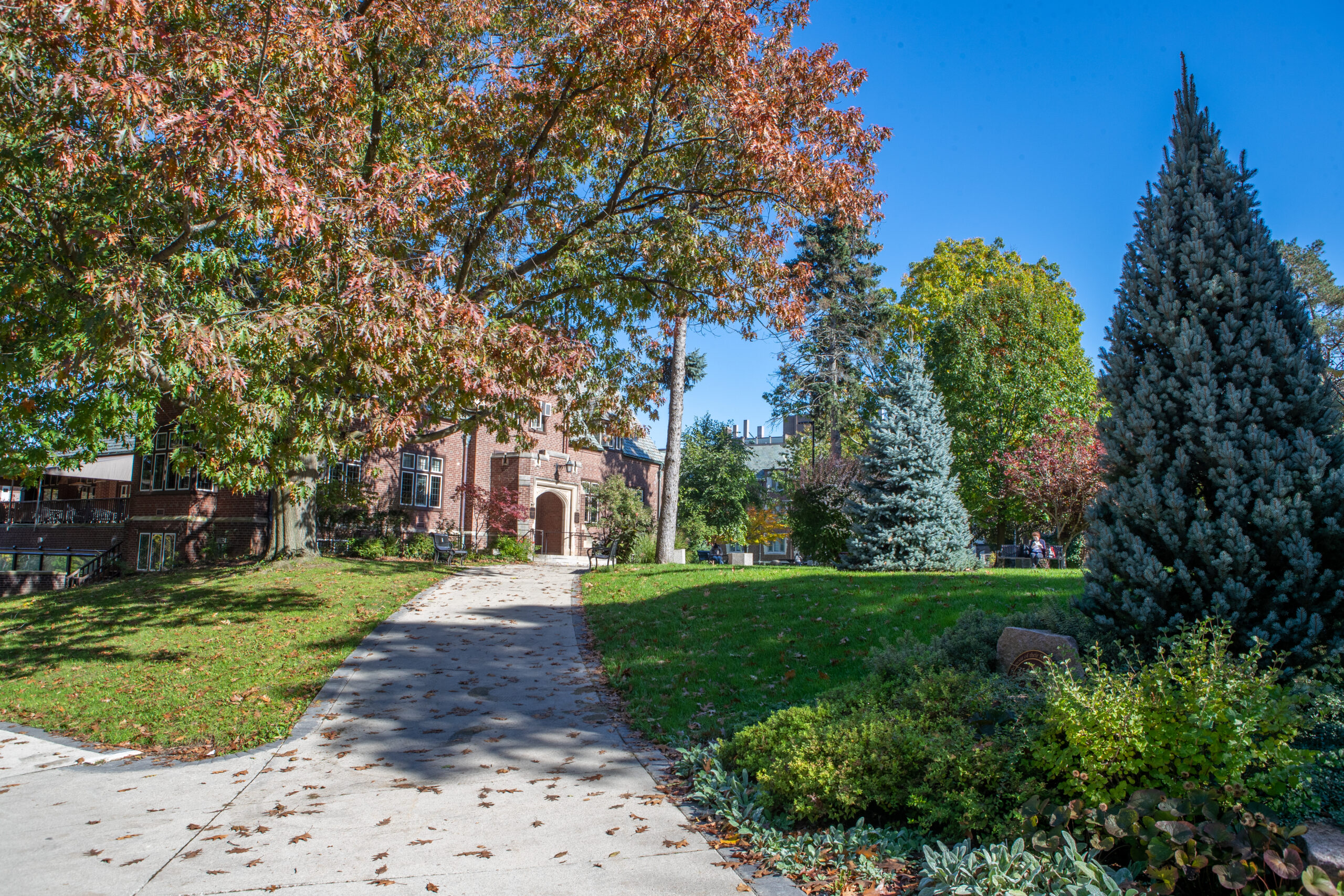 McMaster University in the fall