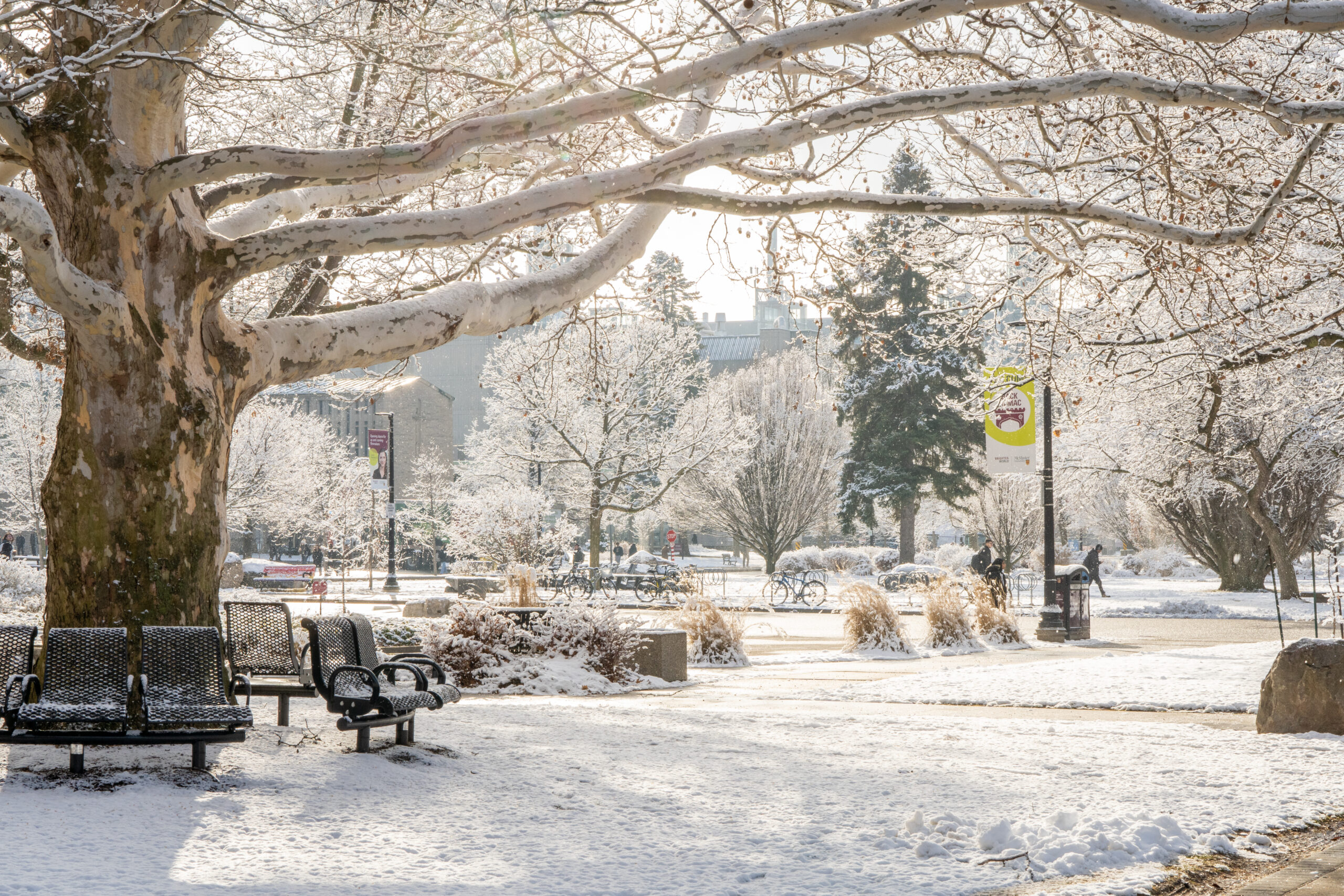 Snowfall on McMaster campus walkway